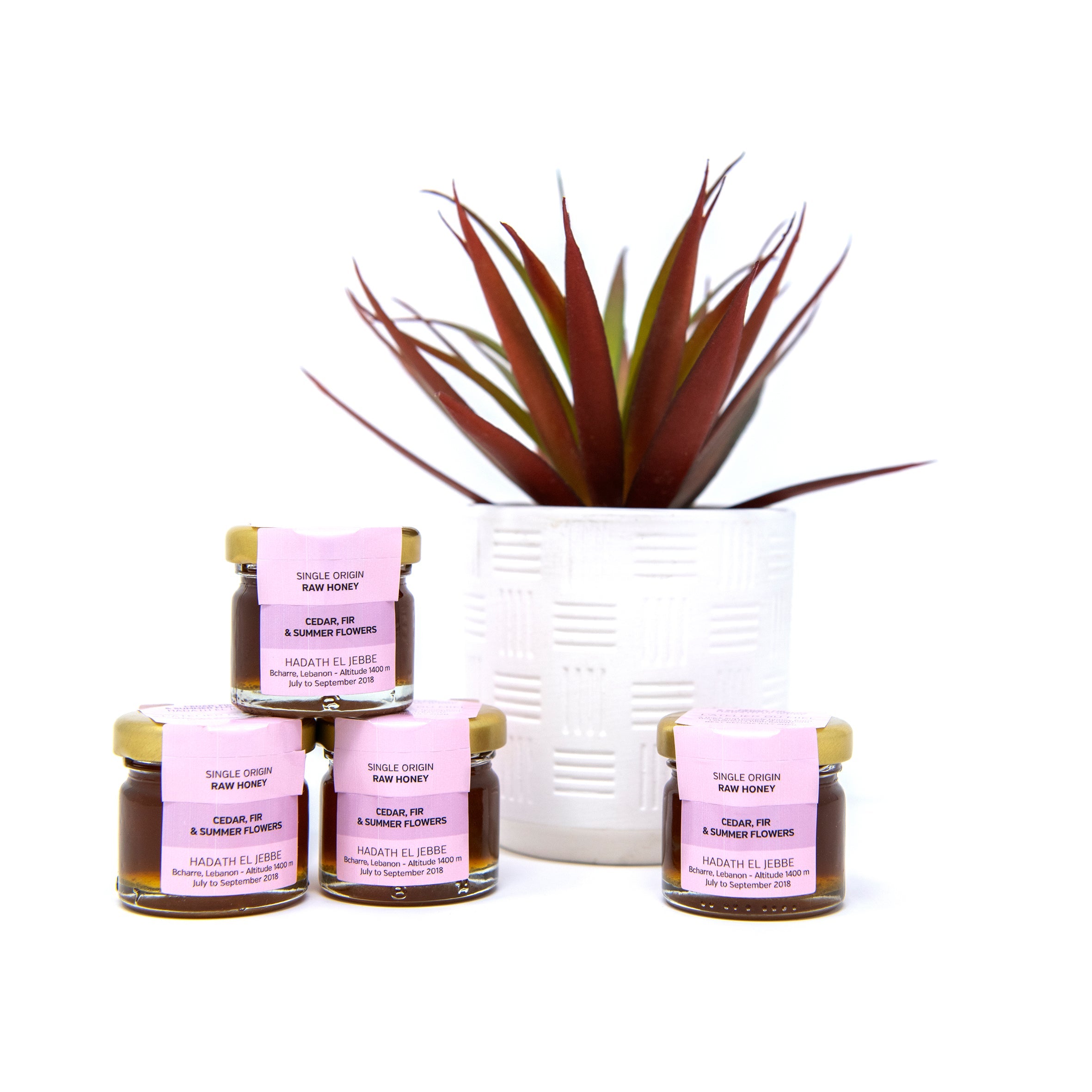 Citrus 30g Honey Jar