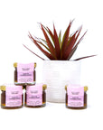 Citrus 30g Honey Jar