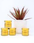 Citrus 30g Honey Jar