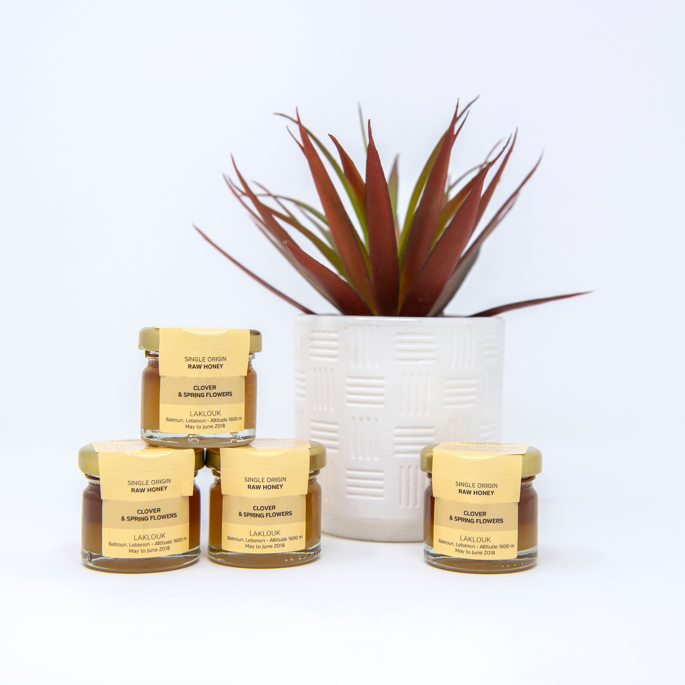 Citrus 30g Honey Jar