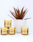 Citrus 30g Honey Jar