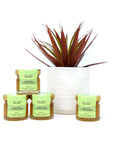 Citrus 30g Honey Jar