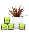 Citrus 30g Honey Jar