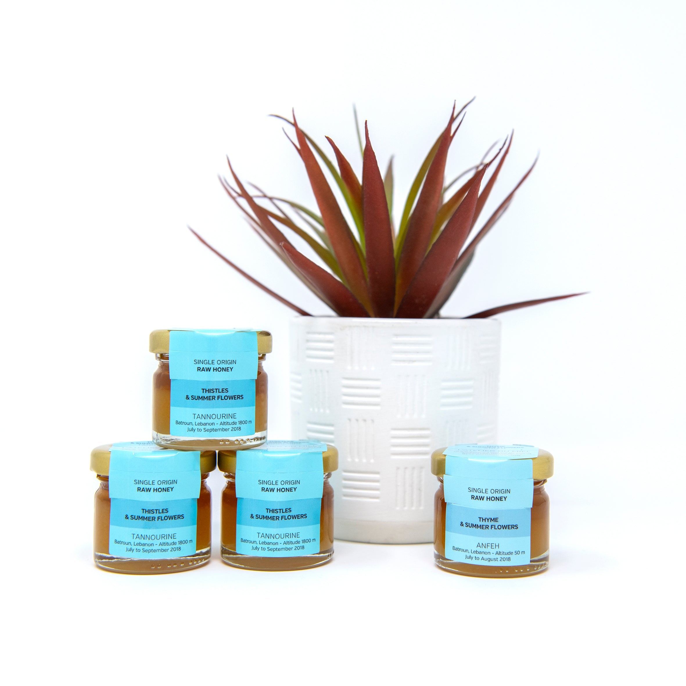 Citrus 30g Honey Jar