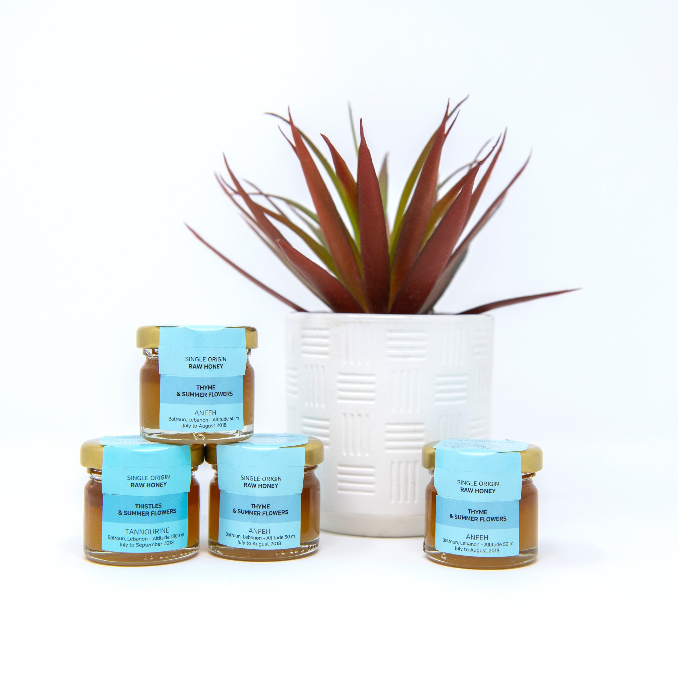 Citrus 30g Honey Jar