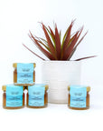 Citrus 30g Honey Jar